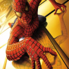 Affiche Spider-Man (2002)