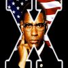 Affiche Malcolm X (1992)